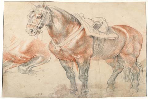 (Peter Paul Rubens (1577–1640)-Saddled Horse, c. 1615-1618)