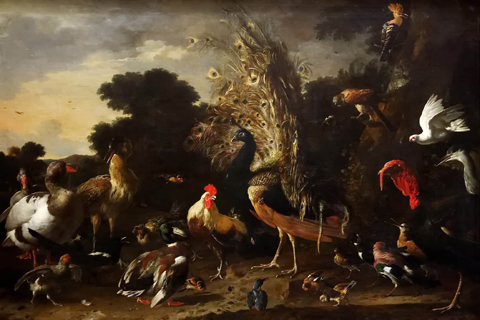(Melchior de Hondecoeter -- The poultry yard with rooster)