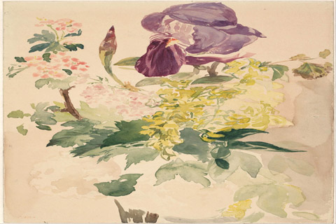 (Édouard Manet (1832–1883)-Flower Piece with Iris, Laburnum, and)