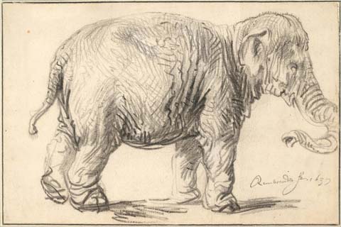 (Rembrandt (1606–1669)-An Elephant, 1637)
