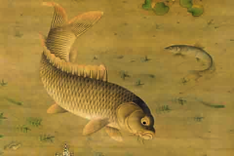 鱼藻图-缪辅