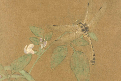 豆荚蜻蜓图-佚名