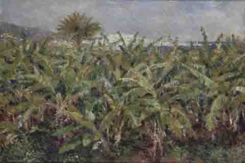 (Auguste Renoir Field of Banana Trees)