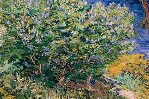 紫丁香树丛-文森特·威廉·梵高-荷兰