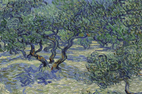 《橄榄树丛》-文森特·威廉·梵高(橄榄树丛-文森特·威廉·梵高-荷兰)