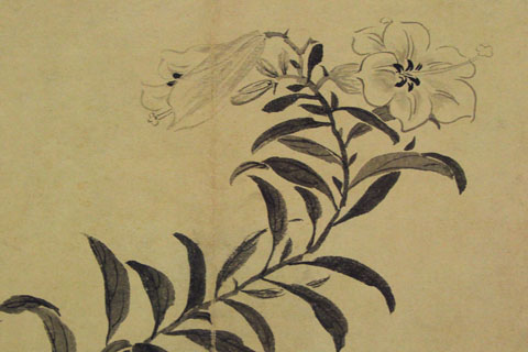 花卉图册-07-金农