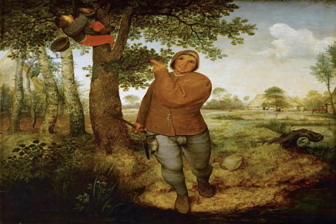 (Brueghel, Pieter The Elder -- Разоритель гнёзд)