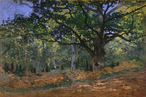 (Claude Monet The Bodmer Oak Fontainebleau Forest)