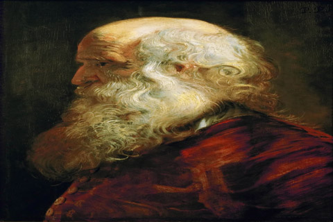 (Peter Paul Rubens -- Study of an Old Man)