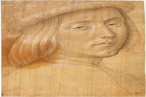 (Lorenzo di Credi (1460–1537)-Head of a Youth)