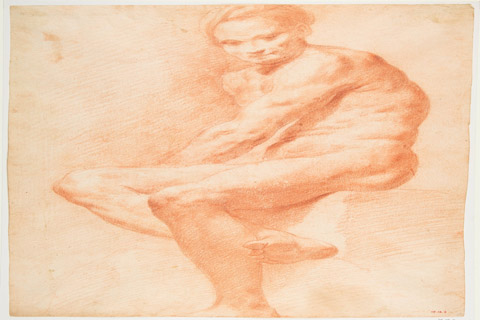 (Attributed to Carle Life Drawing 1)