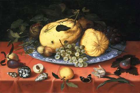 《水果、贝壳和郁金香》(Balthasar van der Ast - Fruit Still Life with Shells and Tulip)