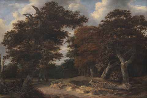 《穿过一片橡树林的路》-范·雷斯达尔(Jacob Isaacksz. van Ruisdael Road through an Oak Forest)