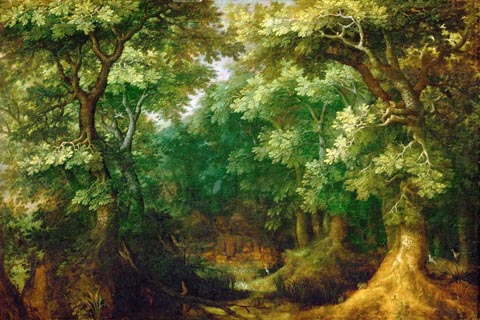 (Gillis van Coninxloo III -- Wooded Landscape)