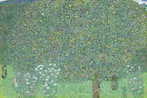 (Gustav Klimt Rosebushes under the Trees)