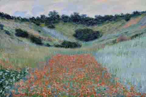 (Claude Monet Poppy Field in a Hollow near Giverny)