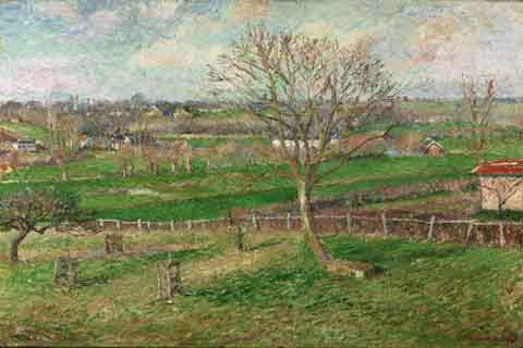 《田野和冬天的大胡桃树》(Camille Pissarro French 1830-1903 The Field and the Great Walnut Tree in Winter Eragny.tif)
