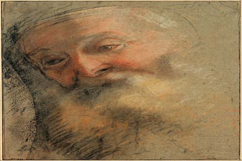 (Federico Barocci (1535–1612)-Head of an Old Bearded Man, 1584-15)