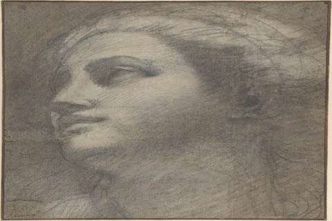 (Attributed to Annibale Carracci Head of a Woman Looking to Upper Left)