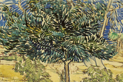《抽象油画树木写生》-文森特·威廉·梵高(抽象油画树木写生-文森特·威廉·梵高-荷兰)