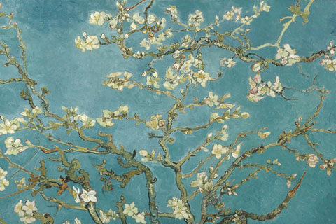 《开花的巴旦杏树枝》-文森特·威廉·梵高(开花的巴旦杏树枝-文森特·威廉·梵高-荷兰)GH
