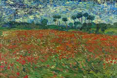 《罂粟田》(Vincent van Gogh Poppy field)