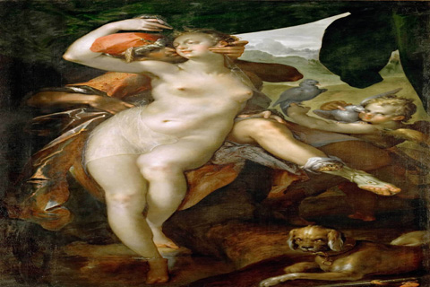 (Bartholomaeus Spranger -- Venus and Adonis)