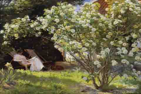 (P.S Kroyer Roses Marie Kroyer seated in the deckchair in the garden by Mrs Bendsen's house)GH