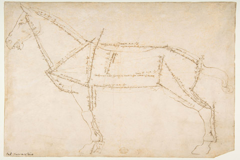 (Andrea del Verrocchio Measured Drawing of a Horse Facing Left)