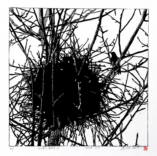 bird nest2[原创]
